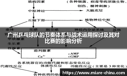 zoty中欧官方app下载