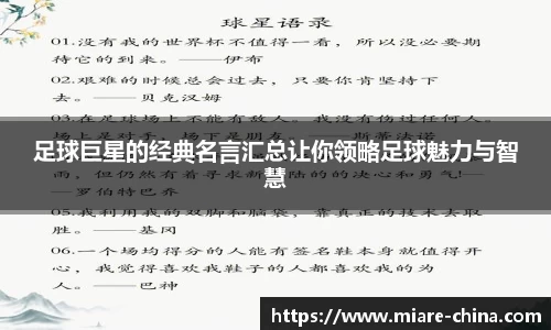 zoty中欧官方网站