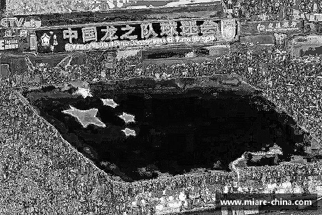 解读zoty中欧